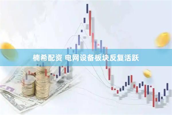 楠希配资 电网设备板块反复活跃