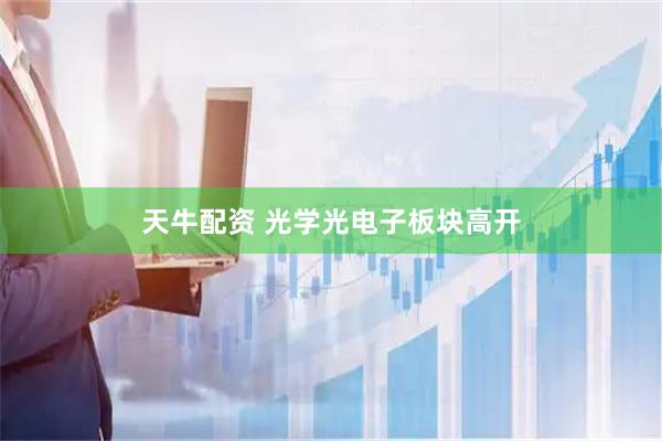 天牛配资 光学光电子板块高开