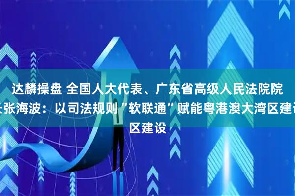 达麟操盘 全国人大代表、广东省高级人民法院院长张海波：以司法规则“软联通”赋能粤港澳大湾区建设