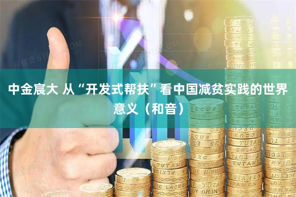 中金宸大 从“开发式帮扶”看中国减贫实践的世界意义（和音）