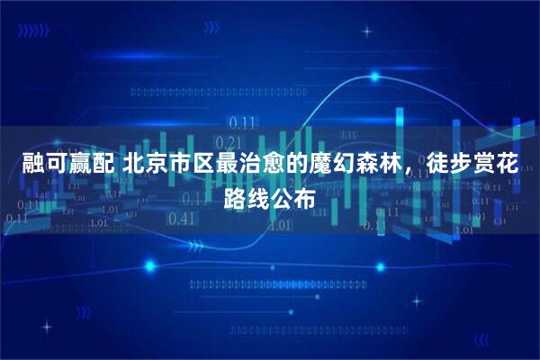 融可赢配 北京市区最治愈的魔幻森林，徒步赏花路线公布