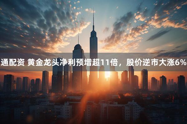 通配资 黄金龙头净利预增超11倍，股价逆市大涨6%