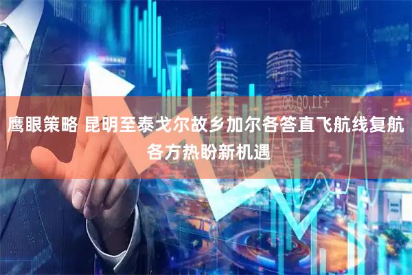 鹰眼策略 昆明至泰戈尔故乡加尔各答直飞航线复航 各方热盼新机遇