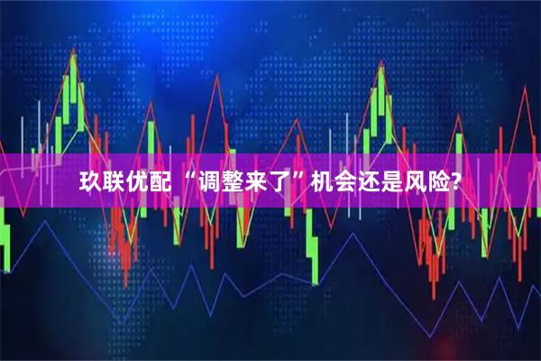 玖联优配 “调整来了”机会还是风险?