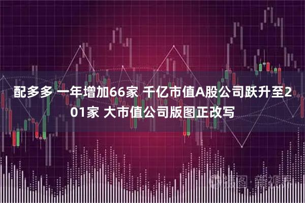 配多多 一年增加66家 千亿市值A股公司跃升至201家 大市值公司版图正改写