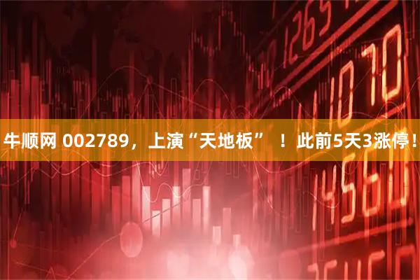 牛顺网 002789，上演“天地板”  ！此前5天3涨停！