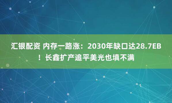 汇银配资 内存一路涨：2030年缺口达28.7EB！长鑫扩产追平美光也填不满
